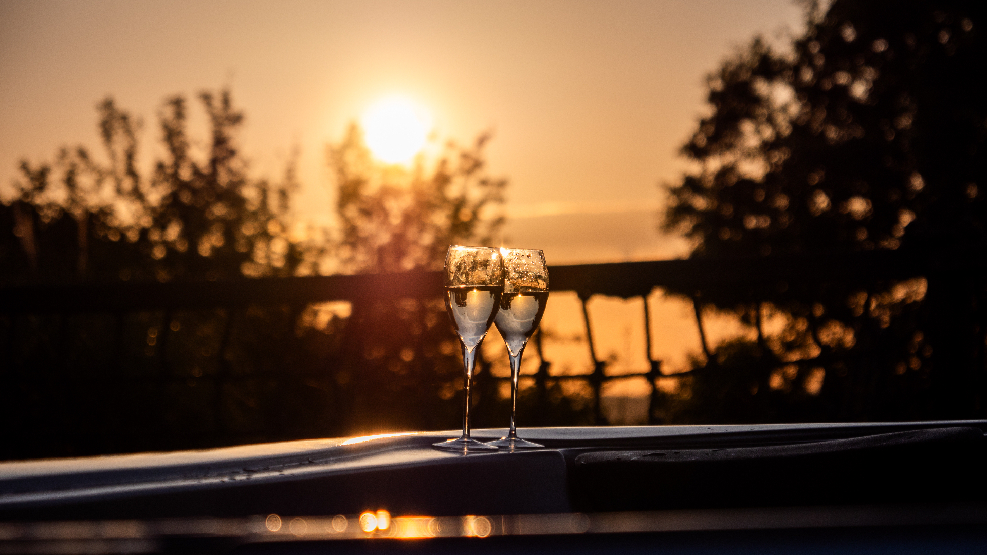 Châteaux dans les arbres